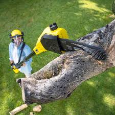 Best Landscape Design and Installation  in Woodmere, NY