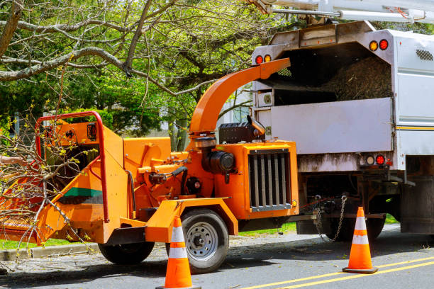 Best Lot and Land Clearing  in Woodmere, NY